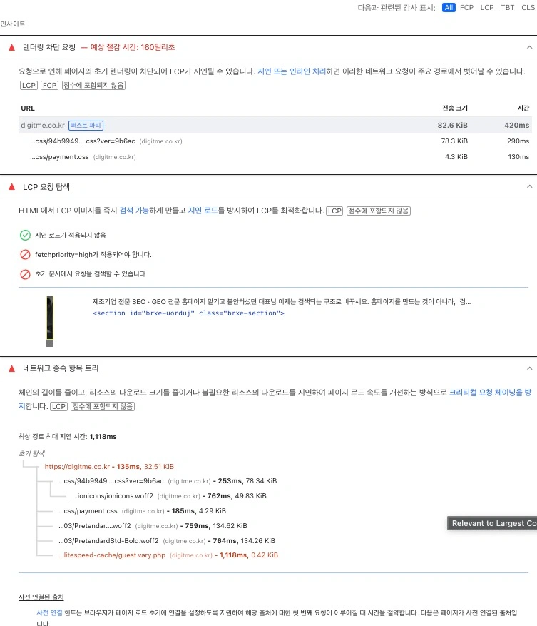 PageSpeed Insights 화면 인사이트 스크린샷